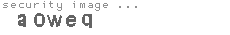 security image