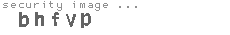 security image