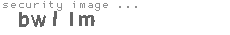security image