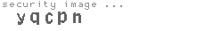 security image