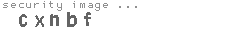 security image