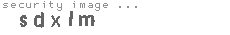 security image