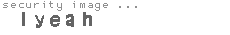 security image