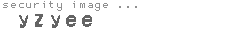 security image