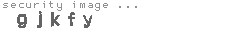 security image