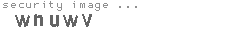 security image