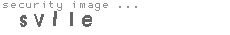 security image