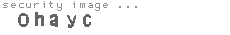 security image