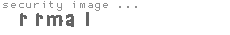 security image