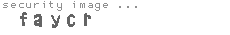 security image