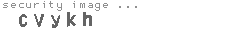 security image