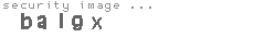 security image