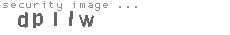 security image