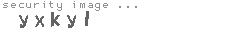 security image