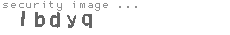 security image