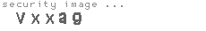 security image