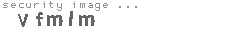 security image