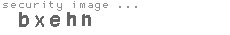 security image