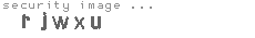 security image