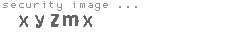 security image