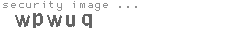 security image