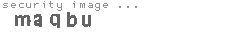 security image