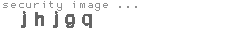 security image