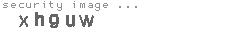 security image