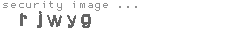 security image