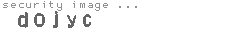 security image