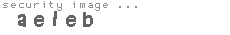 security image