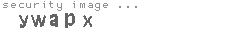 security image