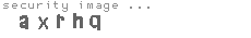 security image