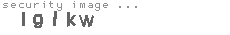 security image