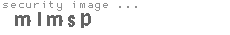 security image
