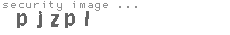 security image