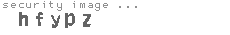security image