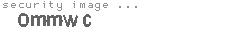 security image