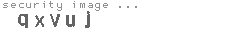 security image