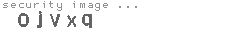 security image