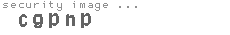security image