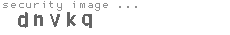 security image