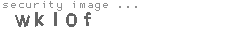 security image