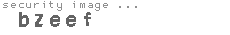 security image