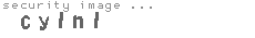 security image