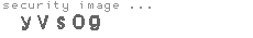 security image