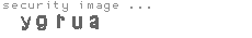 security image