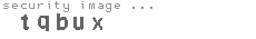 security image