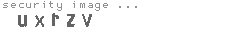 security image