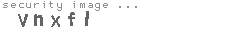 security image